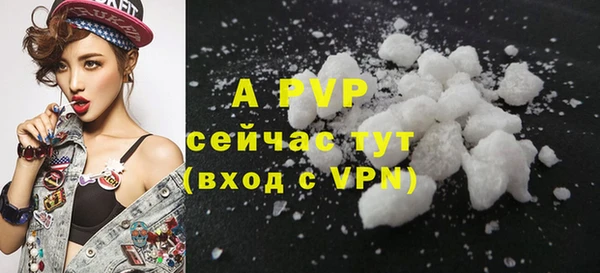 крисы Володарск