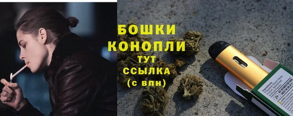 крисы Володарск